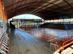 Dom Eliseu Arena