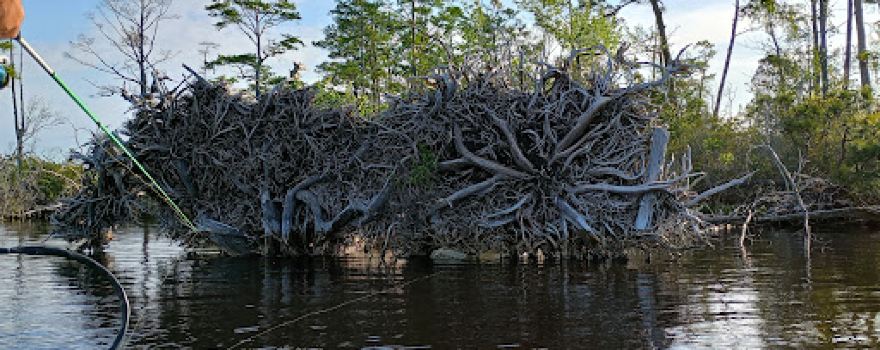 North River Game Land