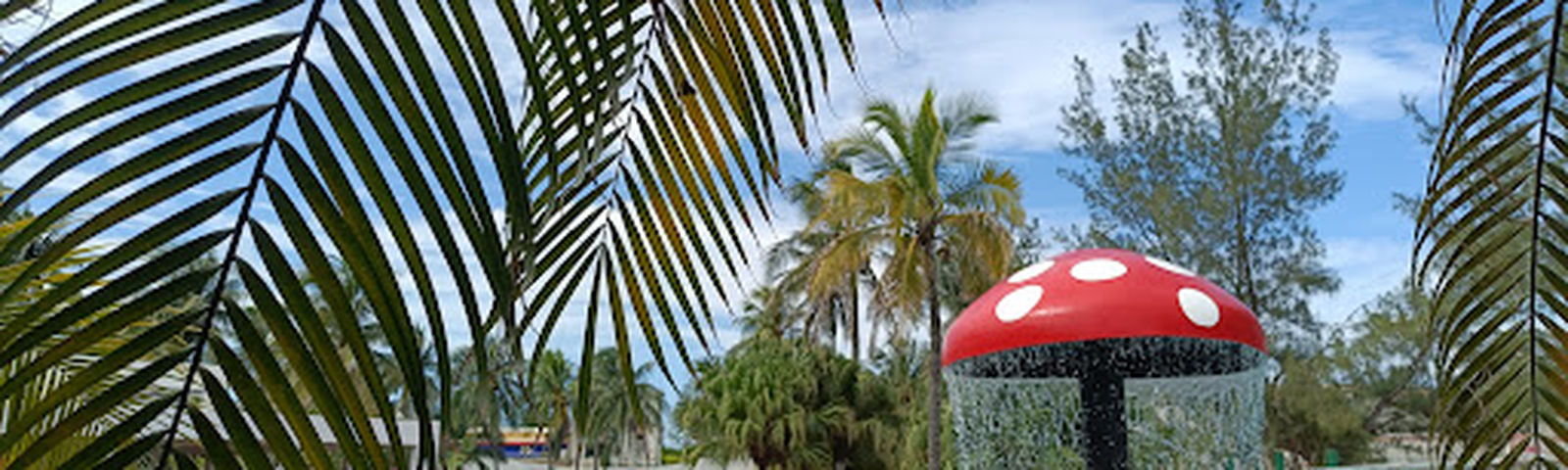 Playa de ChachalacasSIM-Karten