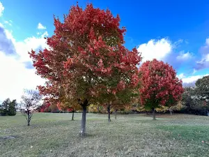 Cascade Township Park