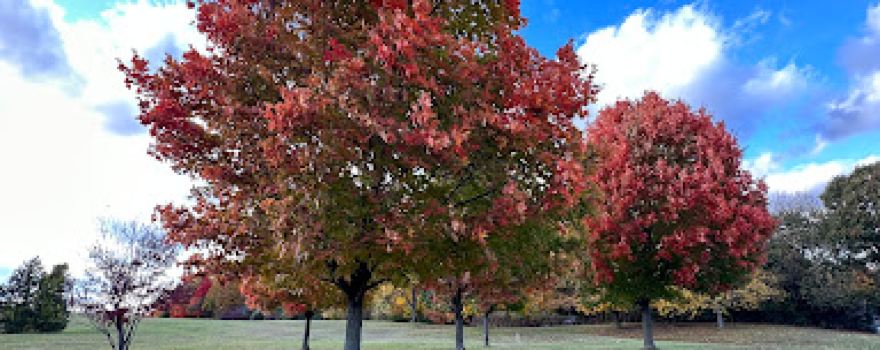 Cascade Township Park
