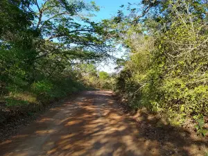 National Forest Araripe-Apodi