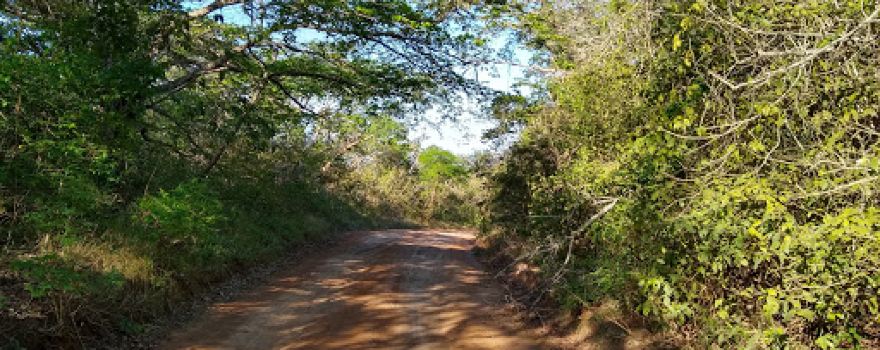 National Forest Araripe-Apodi