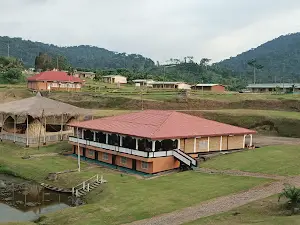 site touristique de nkolandom(sud cameroun)