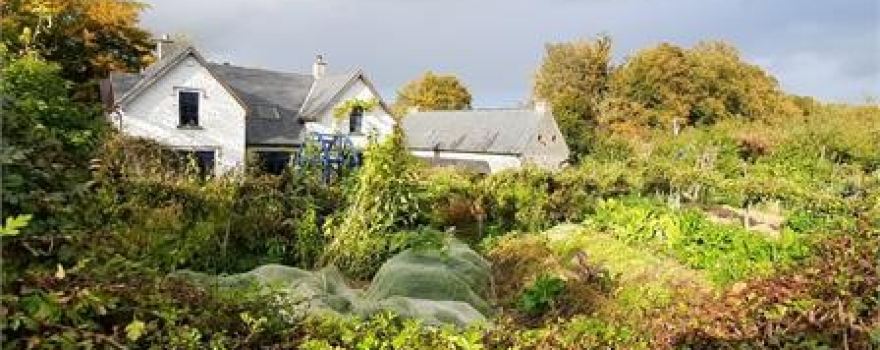 Dunmore Country School