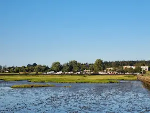 Camping Seeblick