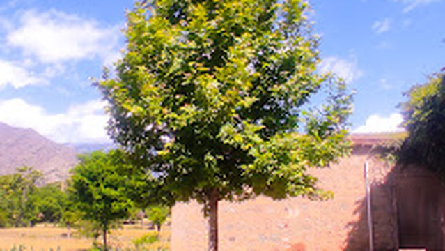 Kalma Chowk, Mian Channu