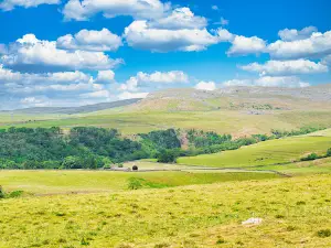 Ingleborough Estate Nature Trail