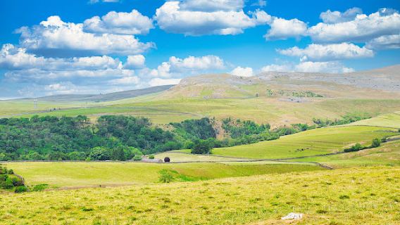 Ingleborough Estate Nature Trail