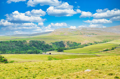 Ingleborough Estate Nature Trail