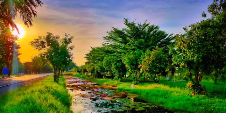 泰國皇家理工大學附屬蓮花博物館