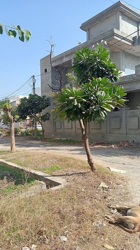 Green park colony