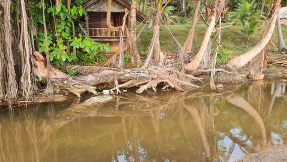 อ่าวเคย