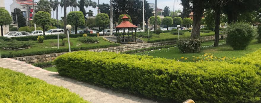 Shahrdari Park