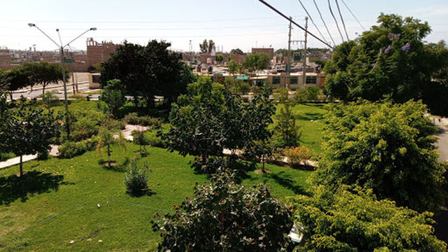 las palmeral IV etapa Park