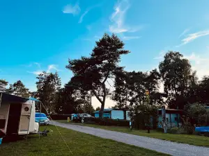 Sandgarten-Camp Verwaltungsgesellschaft mbH - Campingplatz Schwaan