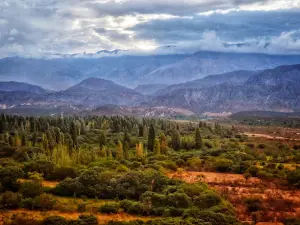 Cerrito La Campanita