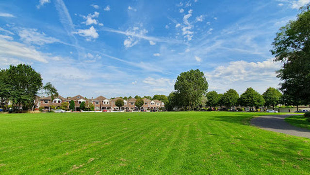 Our Lady Mother of The Church