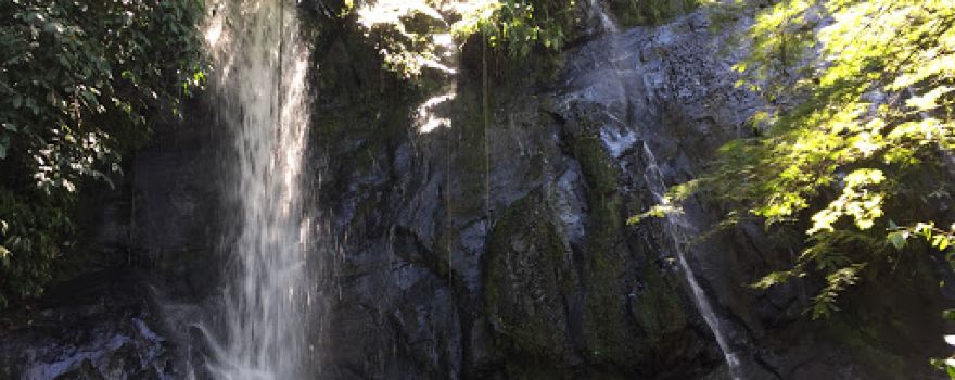 Cascadas del Tepe