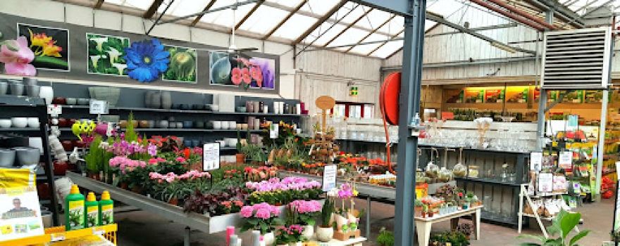 Tuincentrum De Bosrand Woerden