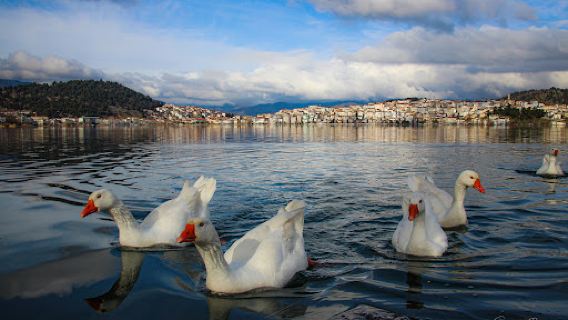 I Love Kastoria