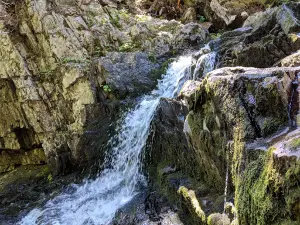 Coac Falls