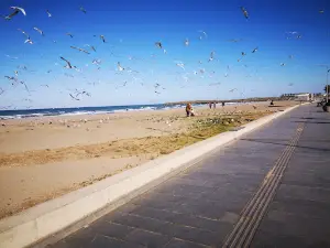 Atakum Beach