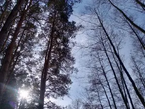 Svyatoy Istochnik Nikolaya Chudotvortsa