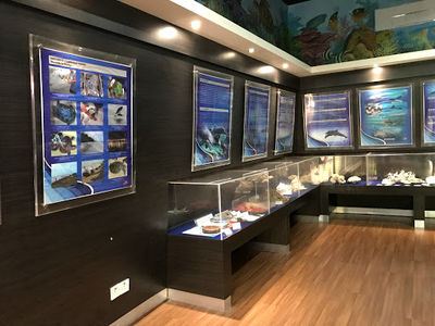 Turtle Conservation & Information Centre (TCIC) Cherating