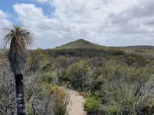 Lesueur National Park Loop Walk Trail