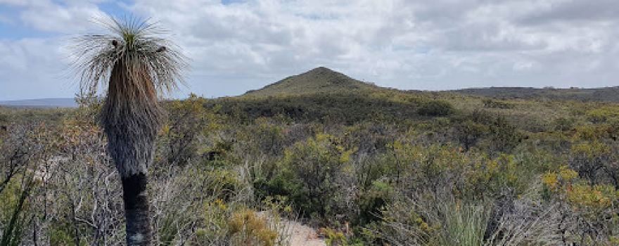 Lesueur National Park Loop Walk Trail