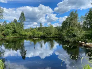 Jeppa S Trädgård