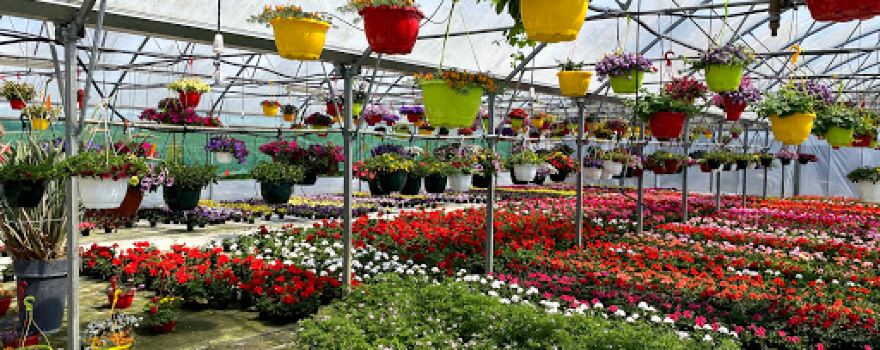 Christophe horticulteurs