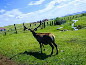 Karkaraly National Park Nature Museum
