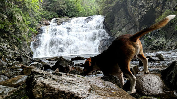 Laurel Falls Trailhead and Appalachian Trail