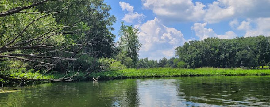 Redfield Bucklen Landing