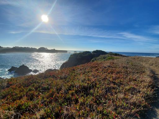 Caspar Headlands State Beach