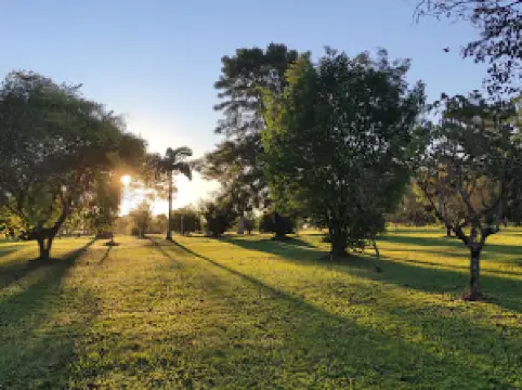 Paseo Turístico Natural del Cerezo en flor (Sakura)