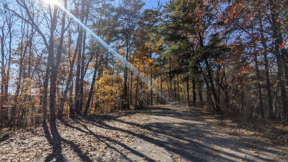 Eberhart Point Overlook