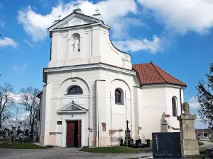 Bazylika kolegiacka Zwiastowania Najświętszej Maryi Panny w Pułtusku
