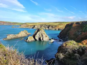 Fishguard Bay Resort