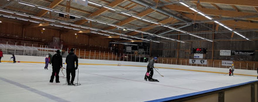 Skutskärs IP