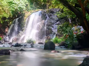 Cinquera Forest Ecological Park