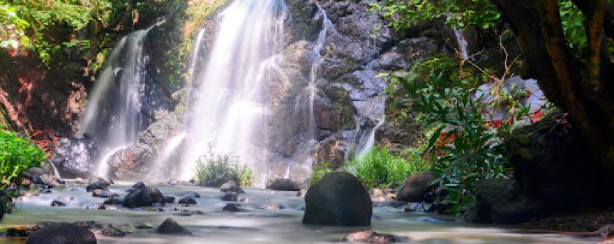 Cinquera Forest Ecological Park