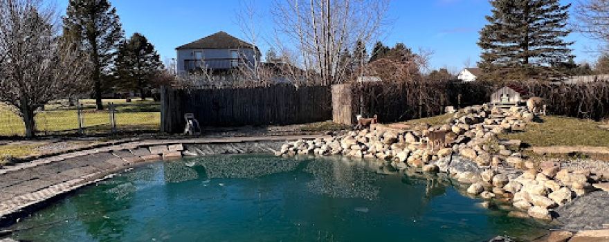 EZDogPark
