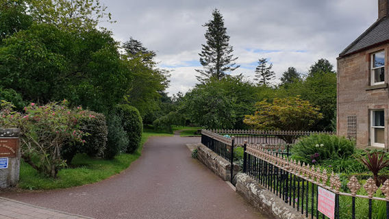Alness