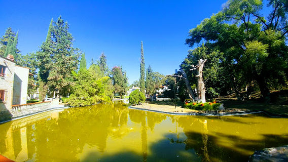 Principal Los Clasustros Garden