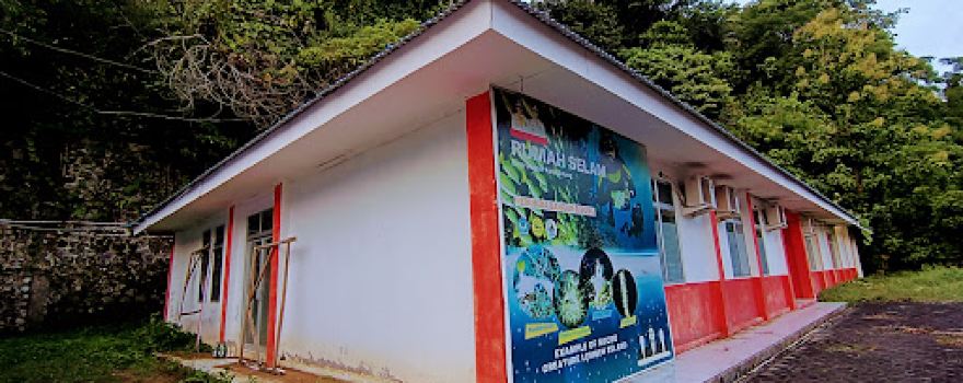 Rumah Selam Dive Center