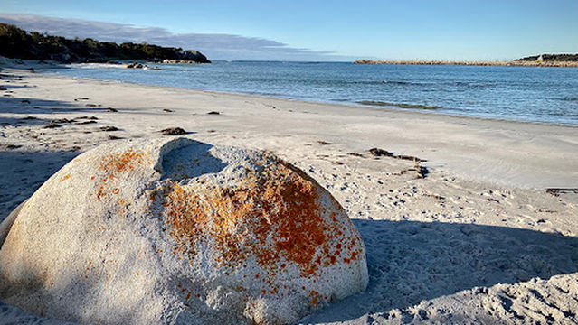 Dora Point Camping Area