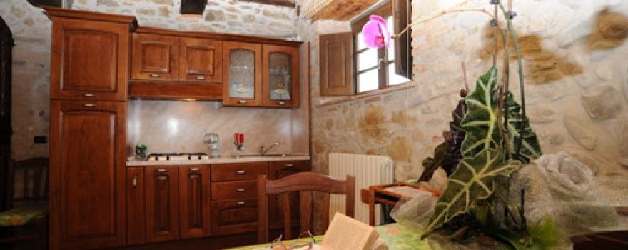 Agriturismo Podere Casenove